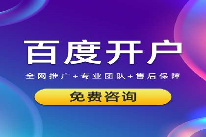 百度竞价广告投放成功案例解析